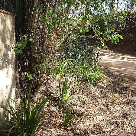 Sitio Alvorada - Paraiso Localizado No Circuito Das Aguas Paulista Amparo  Eksteriør billede