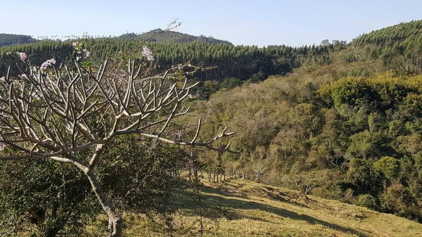 Sitio Alvorada - Paraiso Localizado No Circuito Das Aguas Paulista Amparo  Eksteriør billede